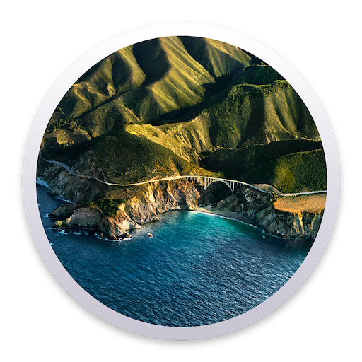 BIG SUR 11.6にアップデートする
